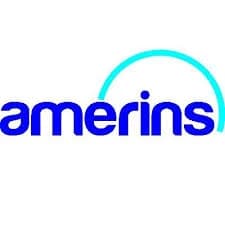 Logo Amerins